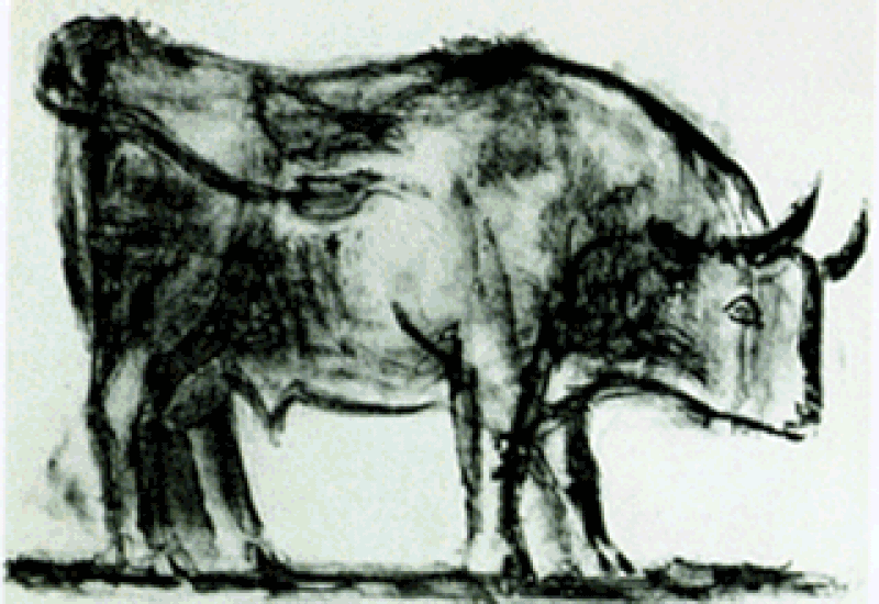 Pećinska umetnost i crteži bikova Pabla&nbsp;Pikasa