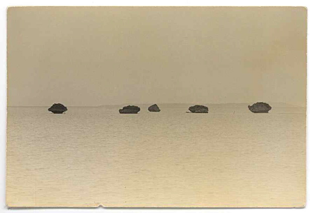 U početku behu more i tišina: Masao Jamamoto i Džon&nbsp;Zerzan